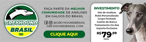 greyhound tv brasil